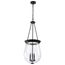 Boliver 3 Light Pendant 14 Inches Matte Black Finish Clear Seeded Glass