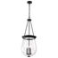 Boliver 3 Light Pendant 14 Inches Matte Black Finish Clear Seeded Glass