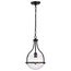 Amado 1 Light Pendant 10 Inches Matte Black Finish Clear Glass