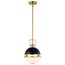 Everton 1 Light Pendant 10 Inches Matte Black & Brass Finish Etched Opal Glass