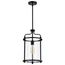 Yorktown 1 Light Pendant Matte Black Finish Clear Glass