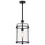 Yorktown 1 Light Pendant Matte Black Finish Clear Glass