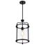 Yorktown 1 Light Pendant Matte Black Finish Clear Glass