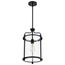 Yorktown 1 Light Pendant Matte Black Finish Clear Glass
