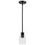 Clarksville 5 Inch Mini Pendant Matte Black w/ Clear Glass