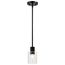 Clarksville 5 Inch Mini Pendant Matte Black w/ Clear Glass
