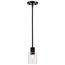 Clarksville 5 Inch Mini Pendant Matte Black w/ Clear Glass