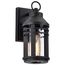 Wilton 1 Light Small Wall Lantern Matte Black w/ Clear Seeded Glass