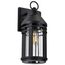 Wilton 1 Light Large Wall Lantern Matte Black w/ Clear Seeded Glass
