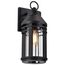 Wilton 1 Light Large Wall Lantern Matte Black w/ Clear Seeded Glass