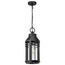 Wilton 1 Light Hanging Lantern Matte Black w/ Clear Seeded Glass