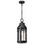 Wilton 1 Light Hanging Lantern Matte Black w/ Clear Seeded Glass
