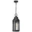 Wilton 1 Light Hanging Lantern Matte Black w/ Clear Seeded Glass
