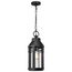 Wilton 1 Light Hanging Lantern Matte Black w/ Clear Seeded Glass