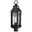 Wilton 1 Light Post Top Matte Black w/ Clear Seeded Glass