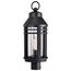 Wilton 1 Light Post Top Matte Black w/ Clear Seeded Glass