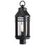 Wilton 1 Light Post Top Matte Black w/ Clear Seeded Glass