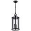 Broadstone 2 Light Hanging Lantern Matte Black w/ Clear Seeded Glass