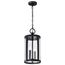 Broadstone 2 Light Hanging Lantern Matte Black w/ Clear Seeded Glass