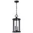 Broadstone 2 Light Hanging Lantern Matte Black w/ Clear Seeded Glass