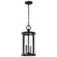 Broadstone 2 Light Hanging Lantern Matte Black w/ Clear Seeded Glass