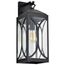 Oaklyn 1 Light Large Wall Lantern Matte Black w/ Clear Glass