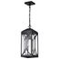 Oaklyn 1 Light Hanging Lantern Matte Black w/ Clear Glass