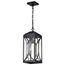 Oaklyn 1 Light Hanging Lantern Matte Black w/ Clear Glass