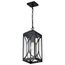 Oaklyn 1 Light Hanging Lantern Matte Black w/ Clear Glass