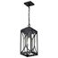 Oaklyn 1 Light Hanging Lantern Matte Black w/ Clear Glass
