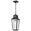 Lawrence 1 Light Hanging Lantern Matte Black w/ Clear Seeded Glass