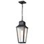 Lawrence 1 Light Hanging Lantern Matte Black w/ Clear Seeded Glass