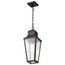 Lawrence 1 Light Hanging Lantern Matte Black w/ Clear Seeded Glass