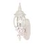 Central Park 1 Light 20" Wall Lantern w/ Clear Beveled Glass