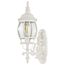 Central Park 1 Light 20" Wall Lantern w/ Clear Beveled Glass