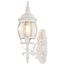 Central Park 1 Light 20" Wall Lantern w/ Clear Beveled Glass