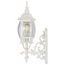 Central Park 1 Light 20" Wall Lantern w/ Clear Beveled Glass