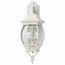 Central Park 3 Light 22" Wall Lantern w/ Clear Beveled Glass