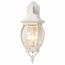 Central Park 3 Light 22" Wall Lantern w/ Clear Beveled Glass