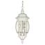 Central Park 3 Light 20" Hanging Lantern w/ Clear Beveled Glass
