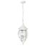 Central Park 3 Light 20" Hanging Lantern w/ Clear Beveled Glass