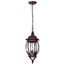 Central Park 3 Light 20" Hanging Lantern w/ Clear Beveled Glass