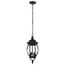Central Park 3 Light 20" Hanging Lantern w/ Clear Beveled Glass