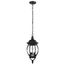 Central Park 3 Light 20" Hanging Lantern w/ Clear Beveled Glass