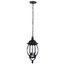 Central Park 3 Light 20" Hanging Lantern w/ Clear Beveled Glass