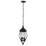 Central Park 3 Light 20" Hanging Lantern w/ Clear Beveled Glass