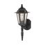 Cornerstone 1 Light 18" Wall Lantern w/ Clear Seed Glass