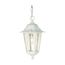 Cornerstone 1 Light 13" Hanging Lantern w/ Clear Seed Glass