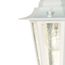 Cornerstone 1 Light 13" Hanging Lantern w/ Clear Seed Glass