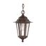 Cornerstone 1 Light 13" Hanging Lantern w/ Clear Seed Glass